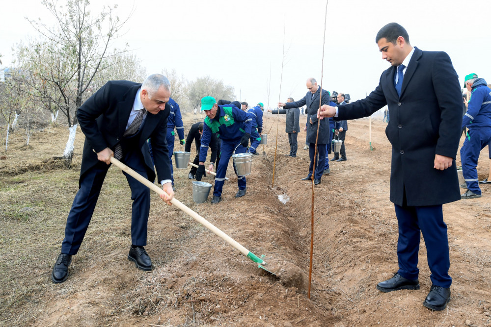 Naxçıvanda Ümummilli Lider Heydər Əliyevin  xatirəsinə ağacəkmə aksiyası keçirilib<font color=red> - FOTOLAR</font>