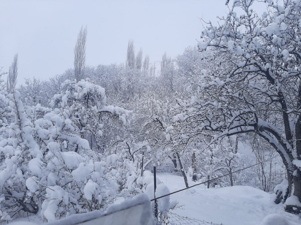 Şahbuz rayonunun Kükü kəndində qarın hündürlüyü 33 sm olub<font color=red> - FOTOLAR</font>