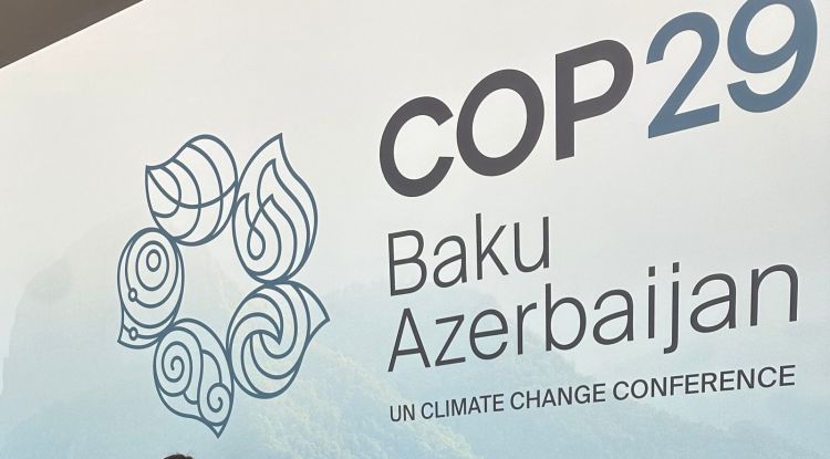 COP29 Könüllülük Proqramı üzrə müsahibələr yekunlaşıb