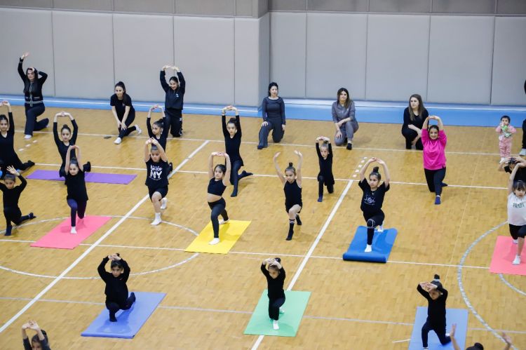 Naxçıvanda gimnastlar üçün ustad dərsi keçilib<font color=red> - FOTOLAR</font>